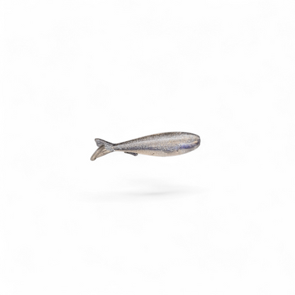 Limestone Softbaits 1.7-inch Swimbait, realistic fishing lure with detailed body and lifelike features for freshwater fishing.