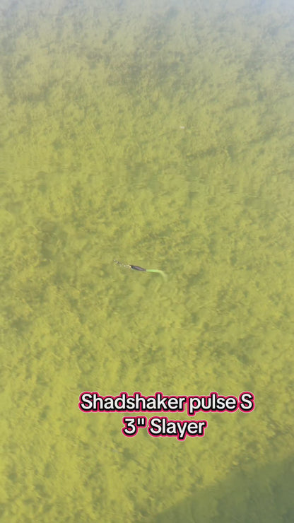 Shadshaker Pulse